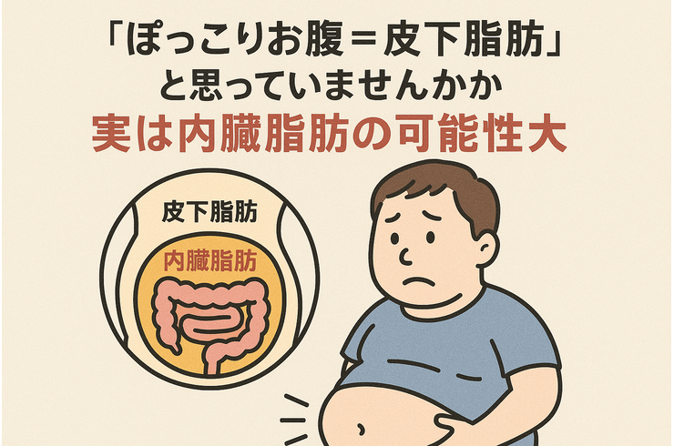 「ぽっこりお腹＝皮下脂肪」と思っていませんか？ 実は内臓脂肪の可能性が大きいかも…
