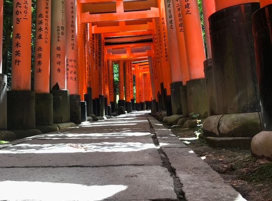 ブログ画像